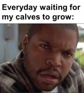 Everyday waiting for my calves to grow