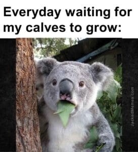 Everyday waiting for my calves to grow