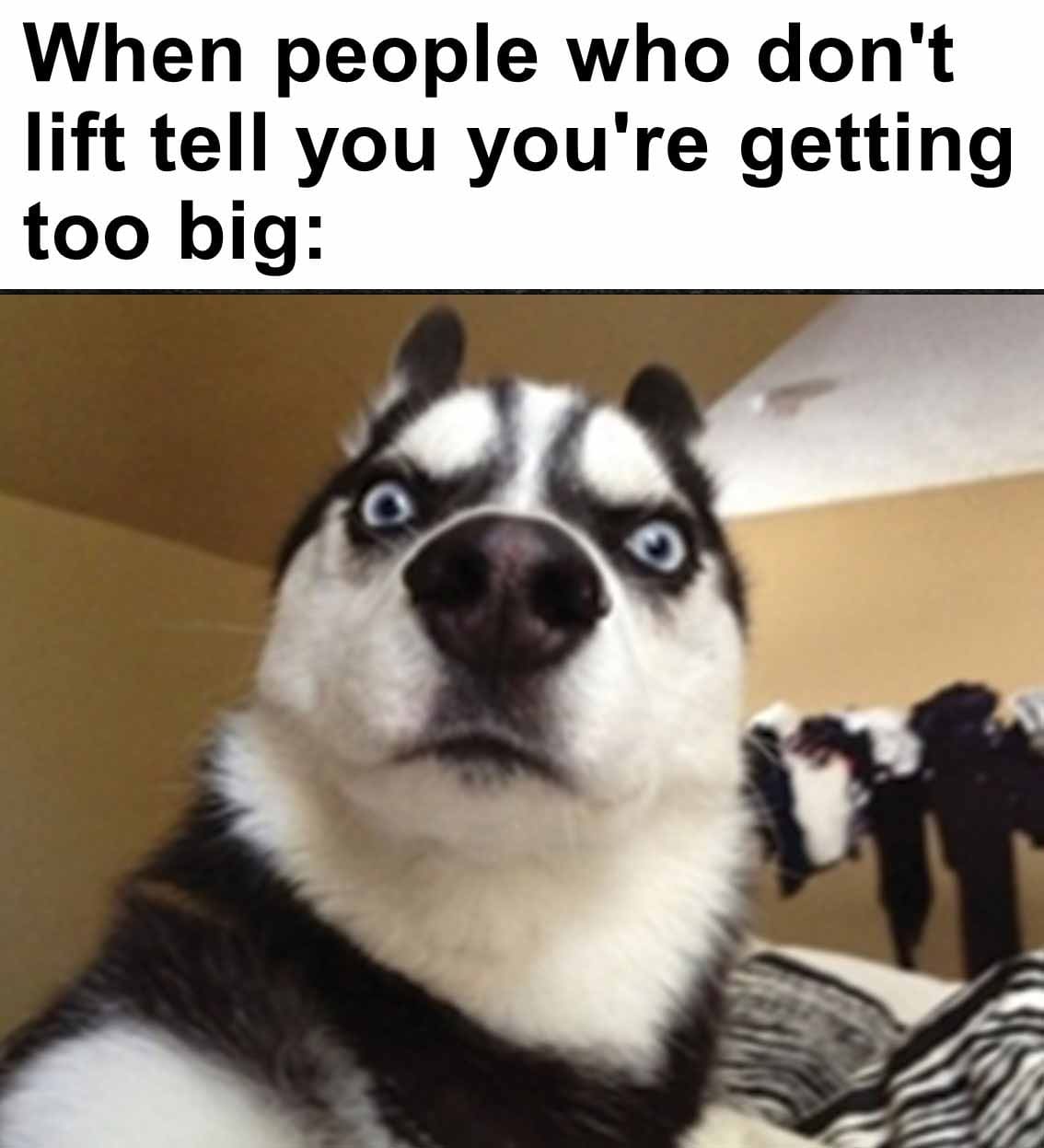 When people who don't lift tell you you're getting too big