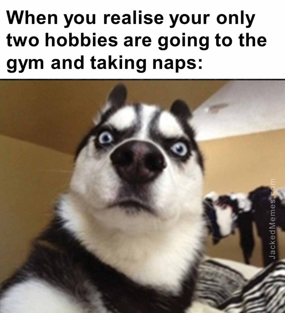 When you realise your only two hobbies are going to the gym and taking naps