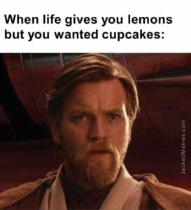 When life gives you lemons but you wanted cupcakes