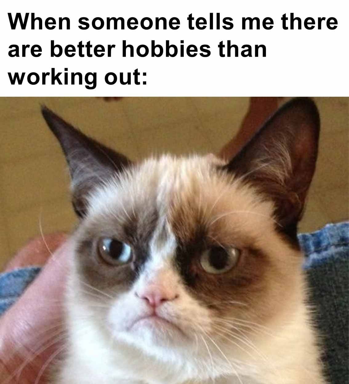 When someone tells me there are better hobbies than working out