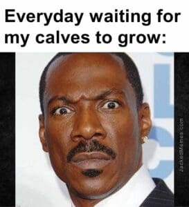 Everyday waiting for my calves to grow