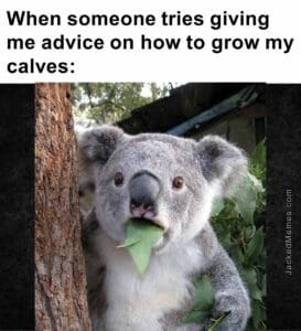 When someone tries giving me advice on how to grow my calves