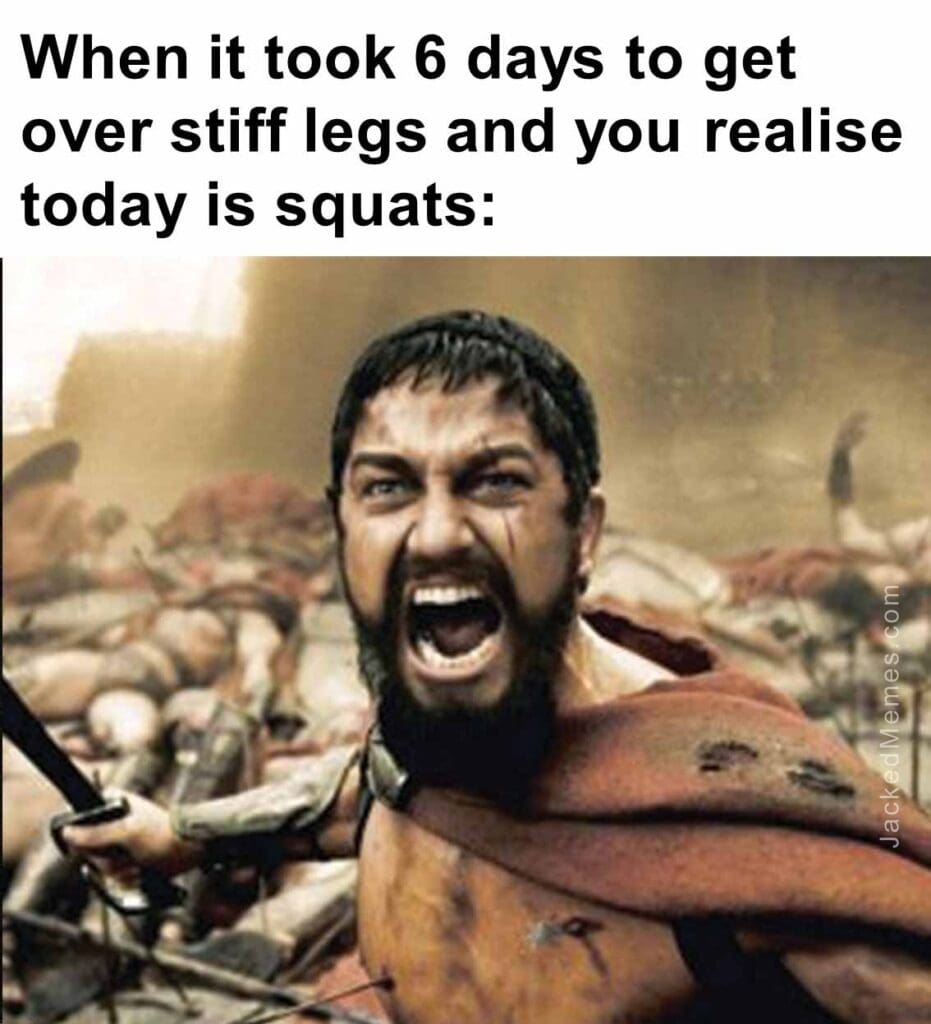 When it took 6 days to get over stiff legs and you realise today is squats