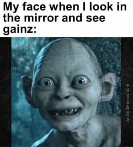 My face when i look in the mirror and see gainz