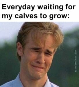 Everyday waiting for my calves to grow