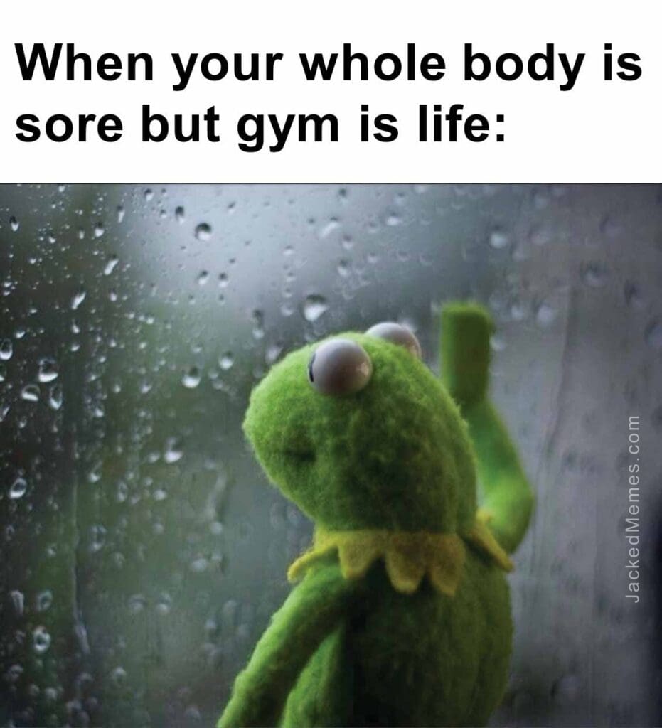 When your whole body is sore but gym is life