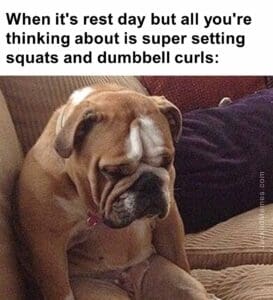 When it's rest day but all you're thinking about is super setting squats and dumbbell curls