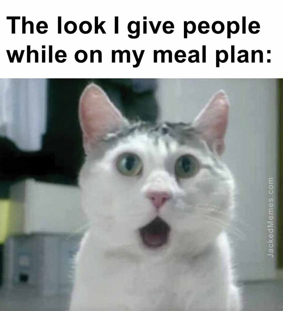 The look i give people while on my meal plan