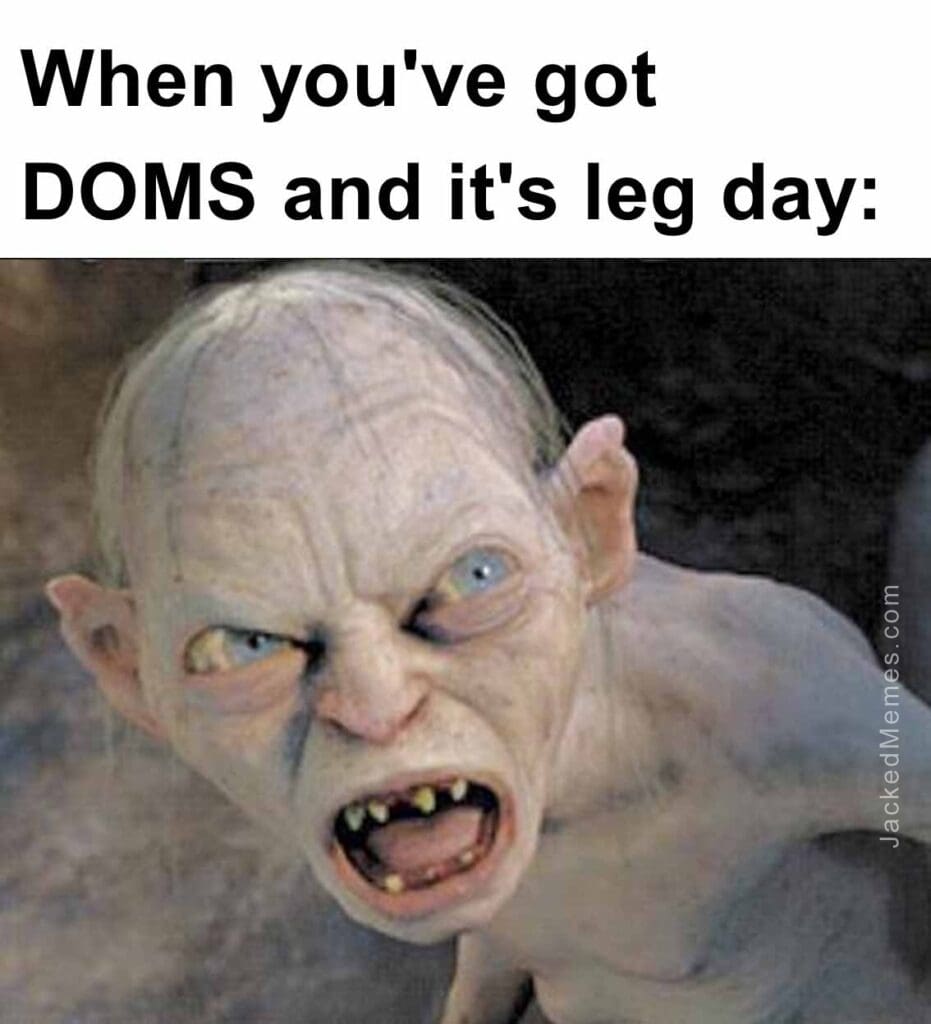 When you've got doms and it's leg day