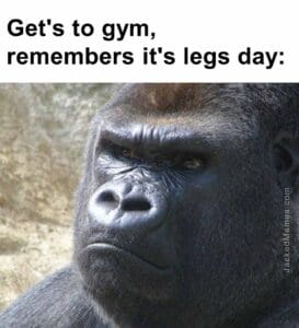 Get's to gym