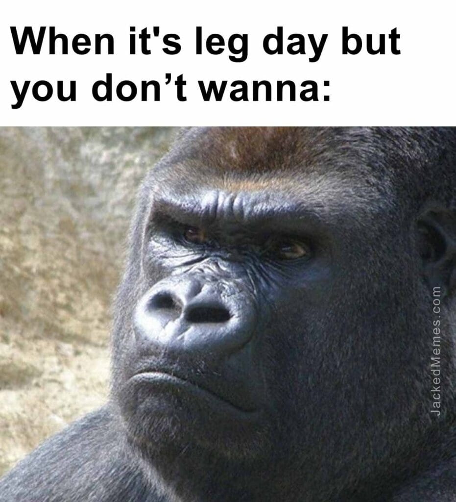 When it's leg day but you dont wanna