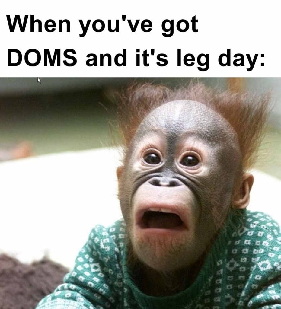 When you've got doms and it's leg day