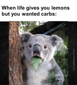 When life gives you lemons but you wanted carbs