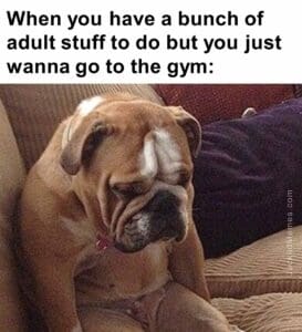 When you have a bunch of adult stuff to do but you just wanna go to the gym