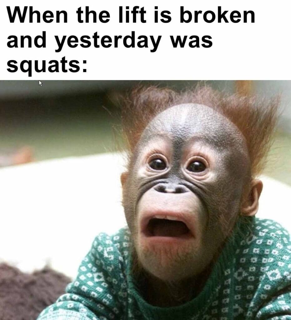 When the lift is broken and yesterday was squats