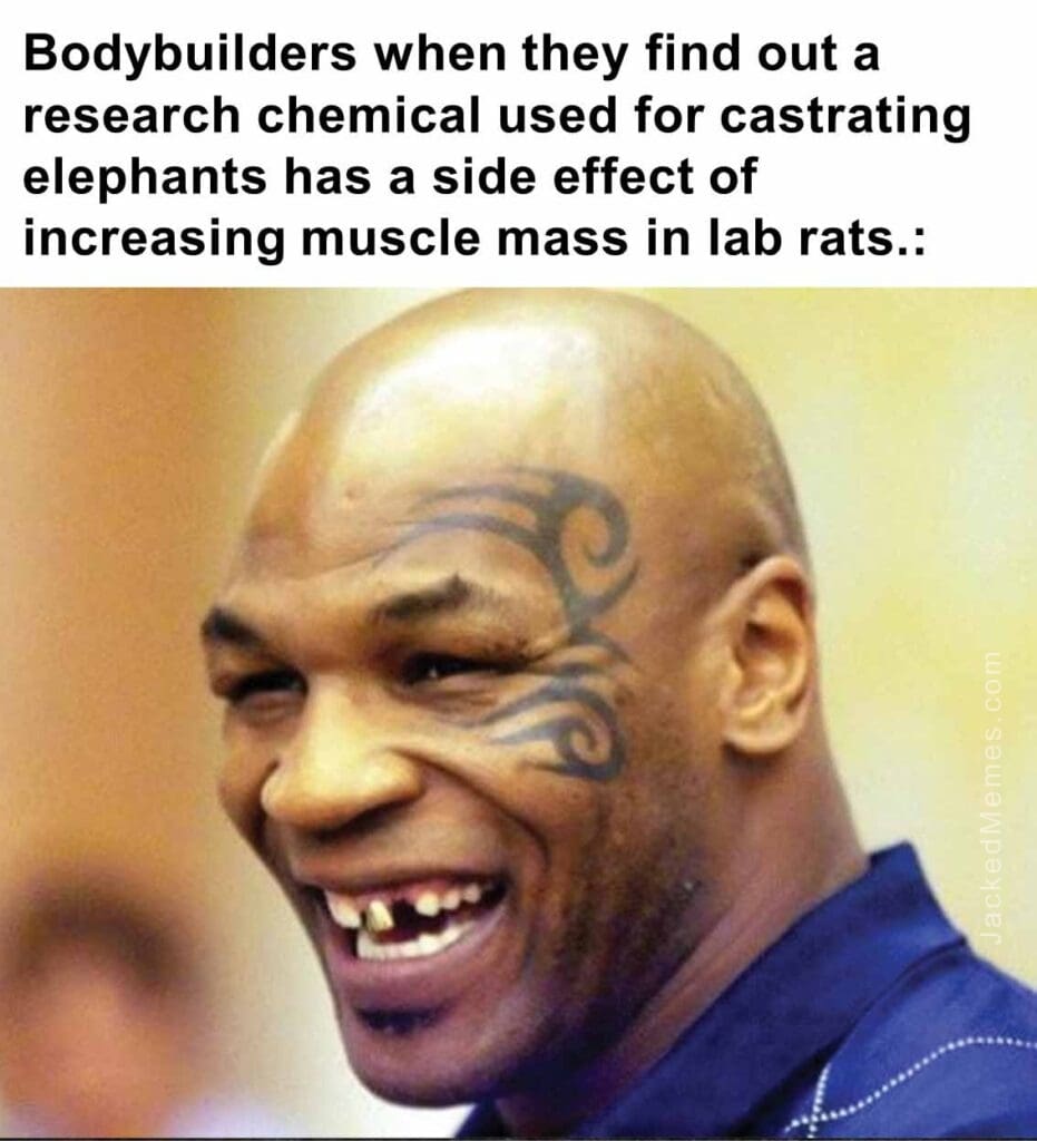 Bodybuilders when they find out a research chemical used for castrating elephants h