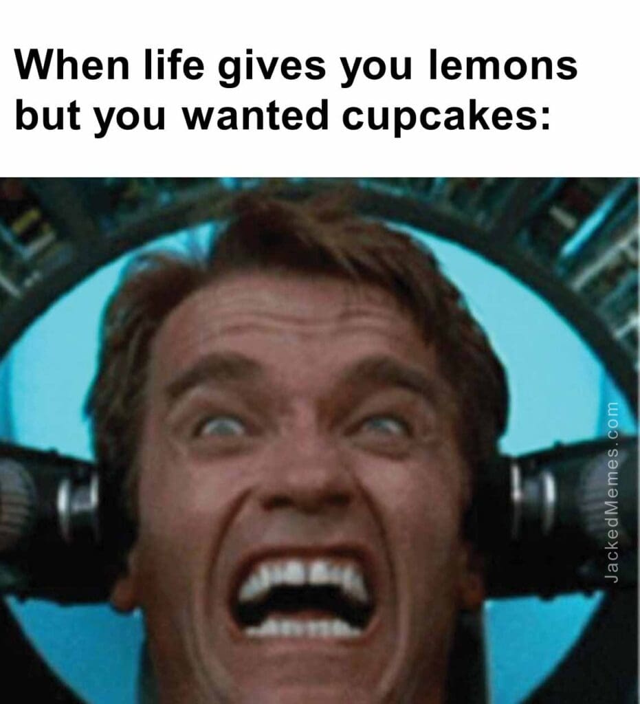 When life gives you lemons but you wanted cupcakes