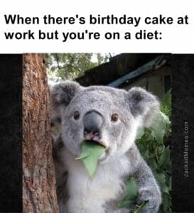 When there's birthday cake at work but you're on a diet