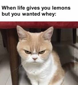 When life gives you lemons but you wanted whey