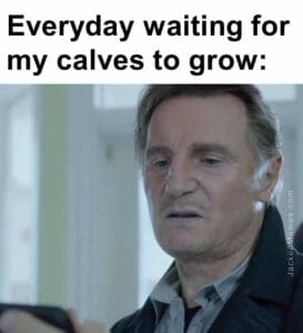 Everyday waiting for my calves to grow