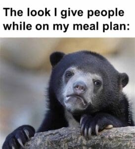 The look i give people while on my meal plan