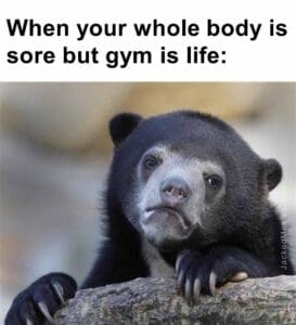 When your whole body is sore but gym is life