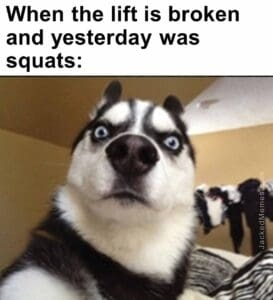 When the lift is broken and yesterday was squats