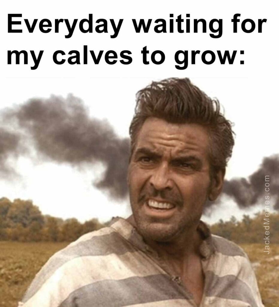 Everyday waiting for my calves to grow