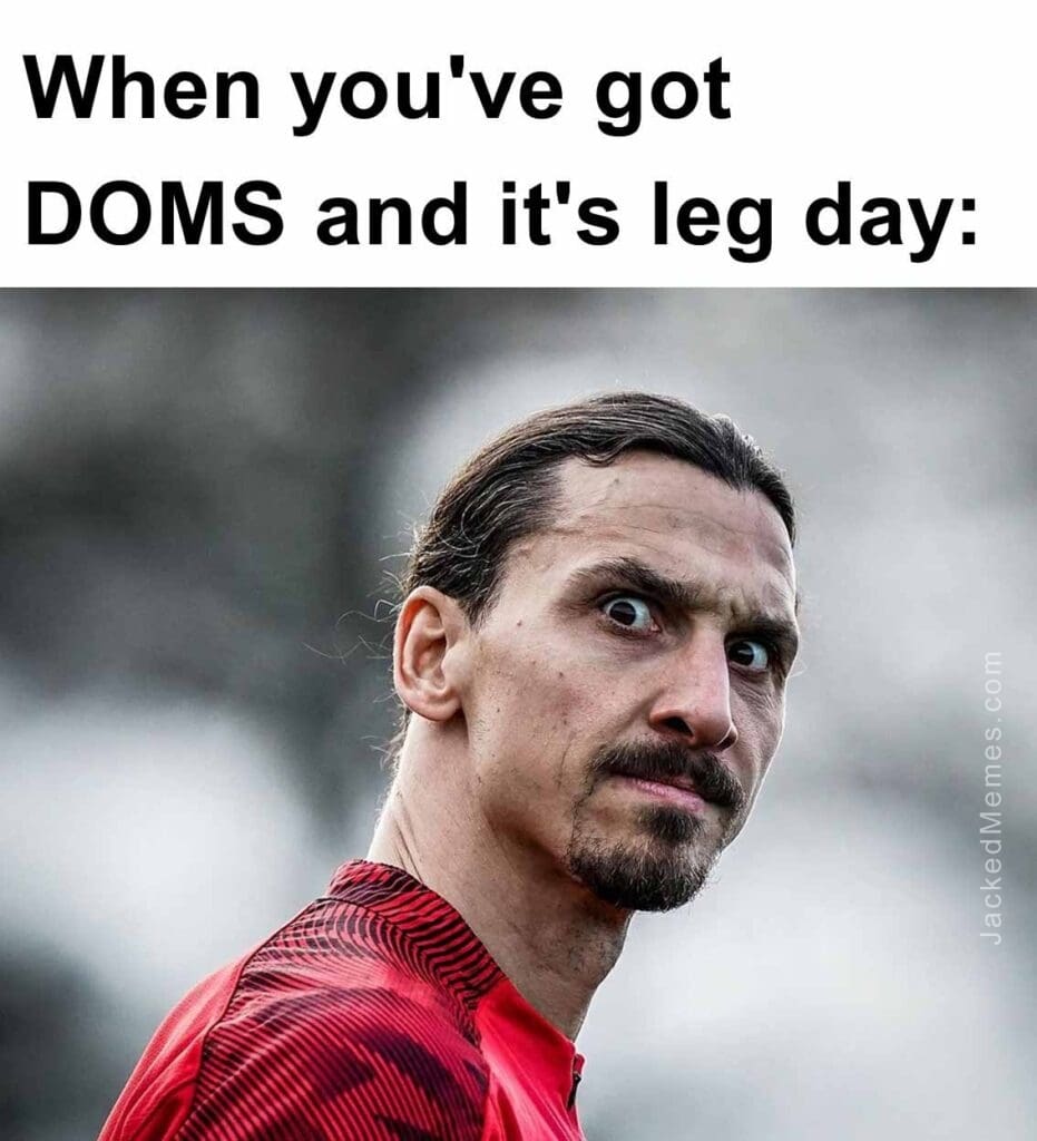 When you've got doms and it's leg day