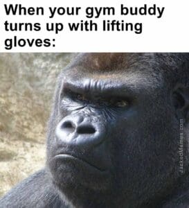 When your gym buddy turns up with lifting gloves