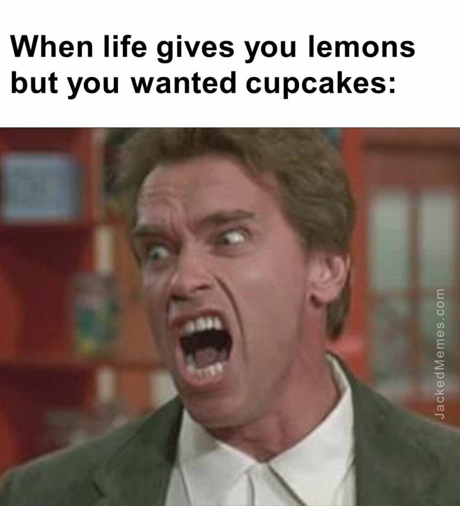 When life gives you lemons but you wanted cupcakes