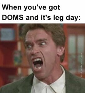 When you've got doms and it's leg day