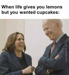 When life gives you lemons but you wanted cupcakes