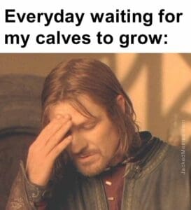 Everyday waiting for my calves to grow