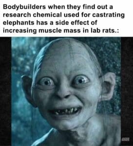 Bodybuilders when they find out a research chemical used for castrating elephants h