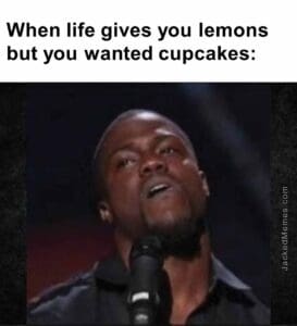 When life gives you lemons but you wanted cupcakes