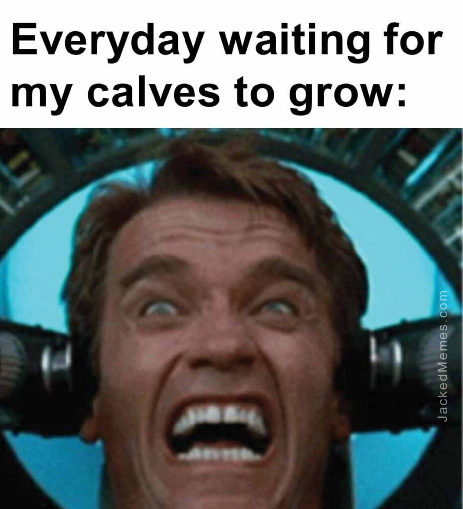 Everyday waiting for my calves to grow