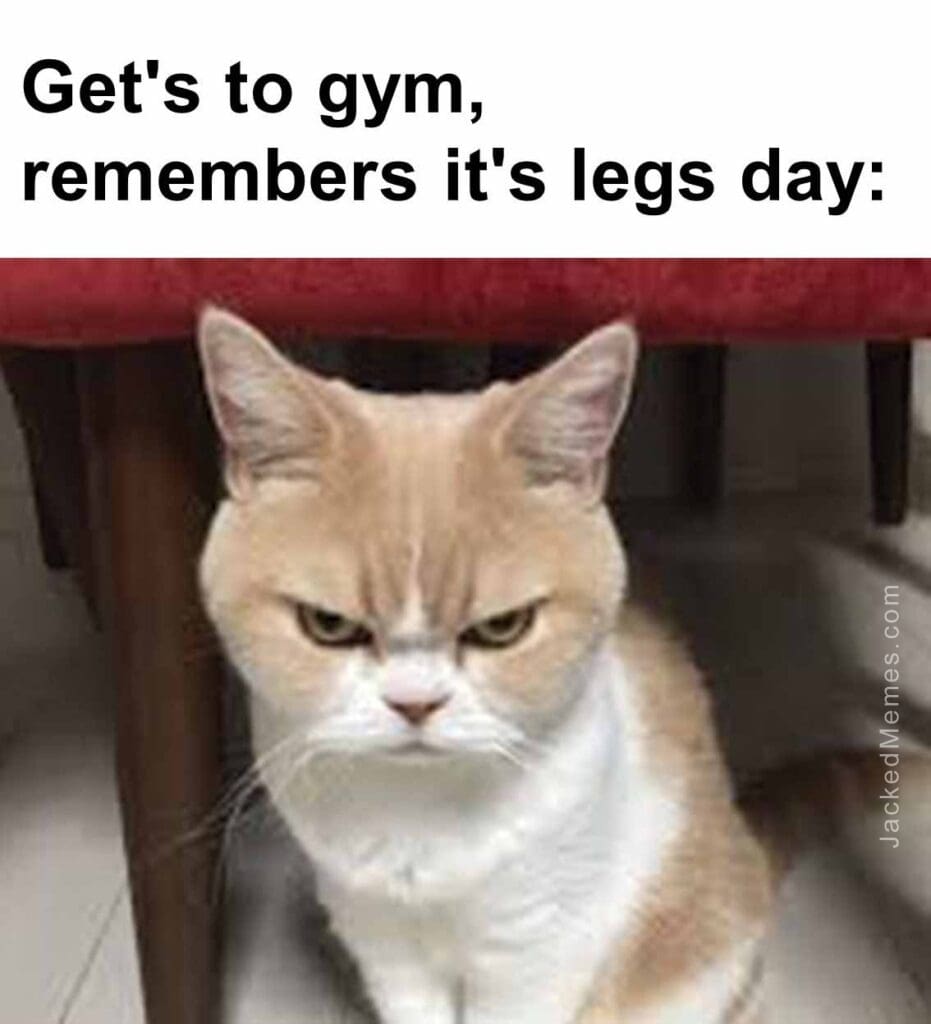 Get's to gym, remembers it's legs day