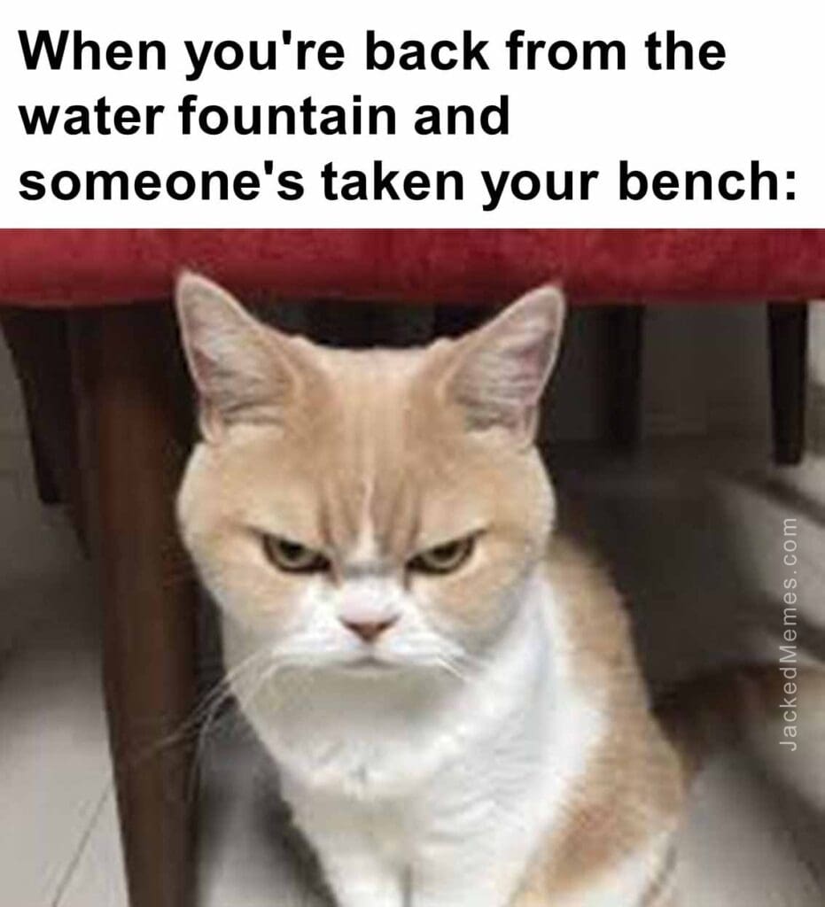 When you're back from the water fountain and someone's taken your bench