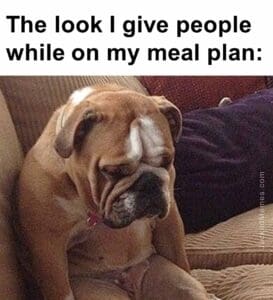 The look i give people while on my meal plan