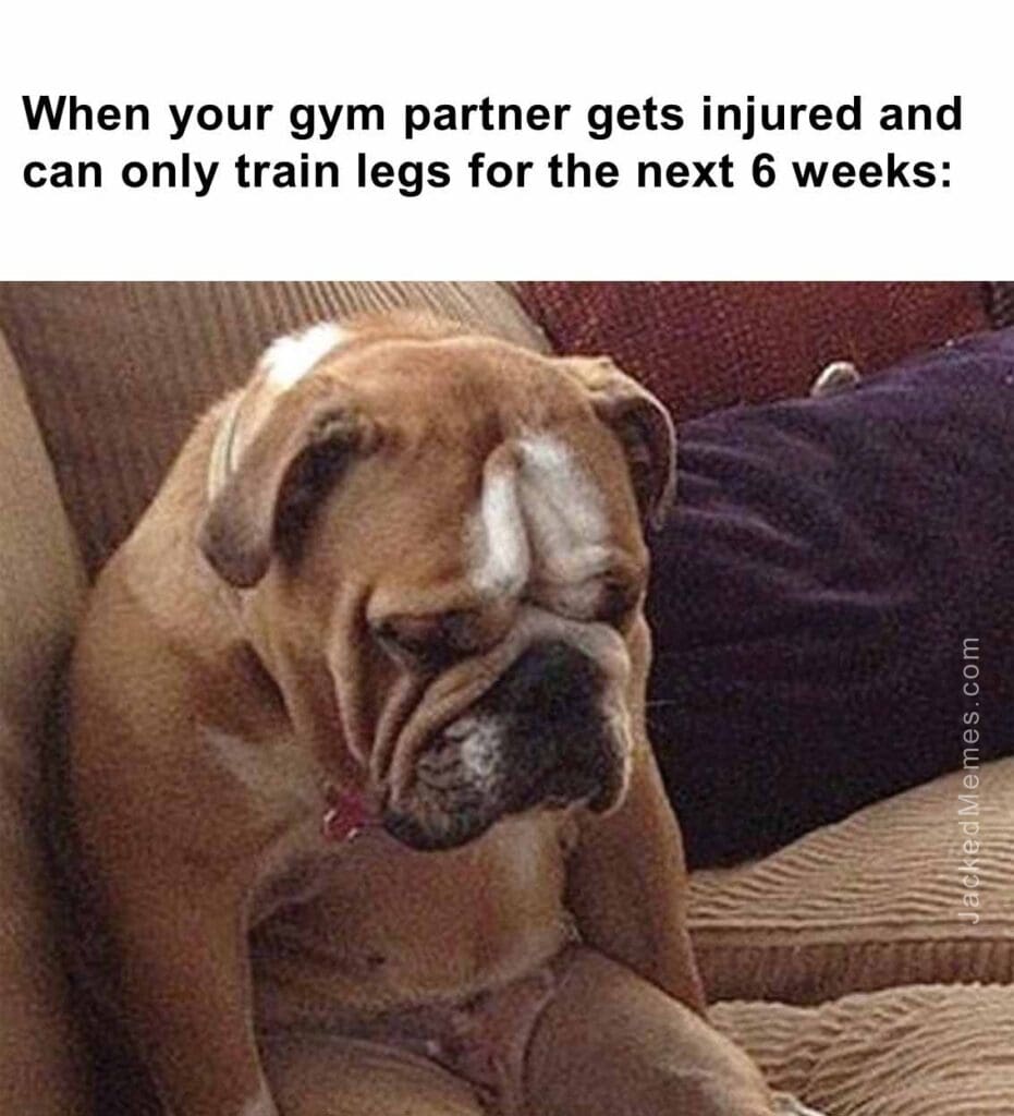 When your gym partner gets injured and can only train legs for the next 6 weeks