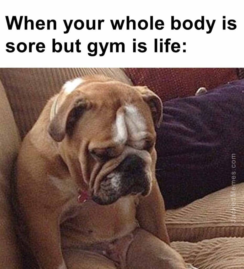 When your whole body is sore but gym is life