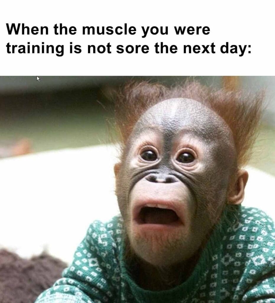 When the muscle you were training is not sore the next day