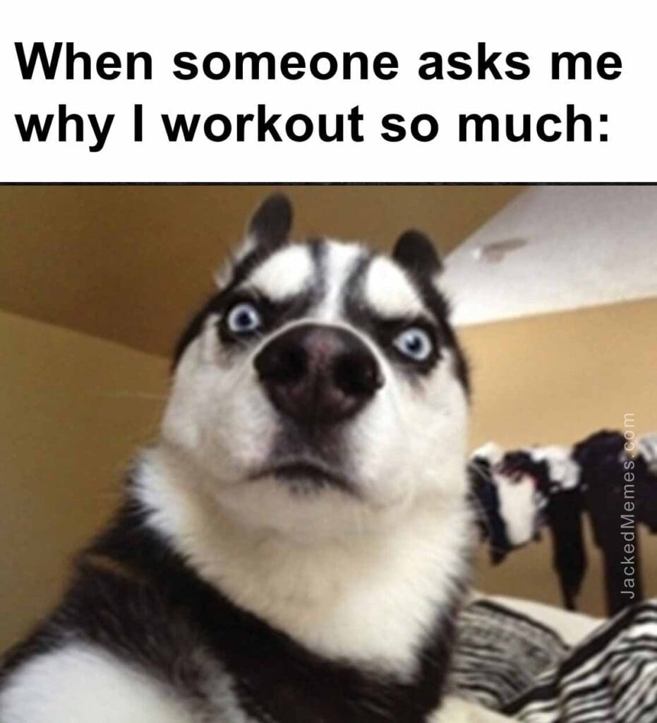 When someone asks me why i workout so much