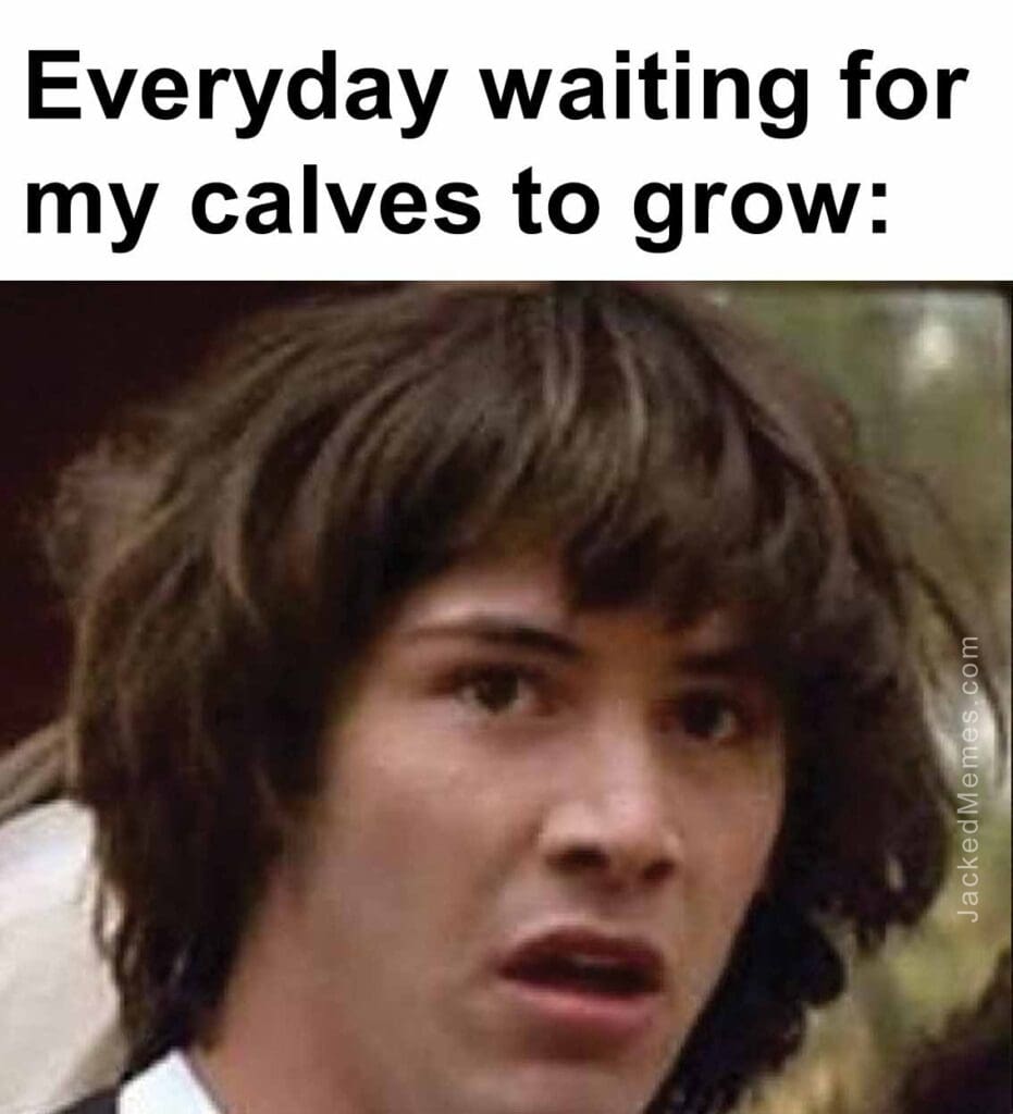 Everyday waiting for my calves to grow