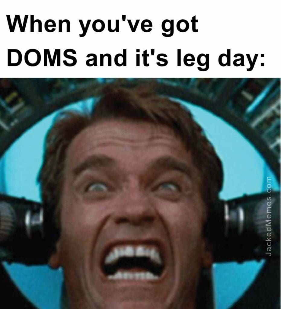 When you've got doms and it's leg day