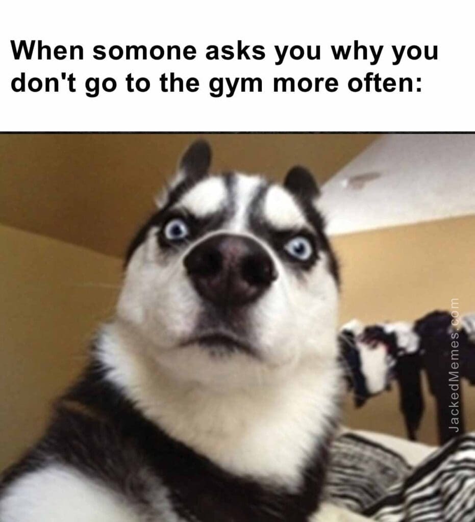 When somone asks you why you don't go to the gym more often