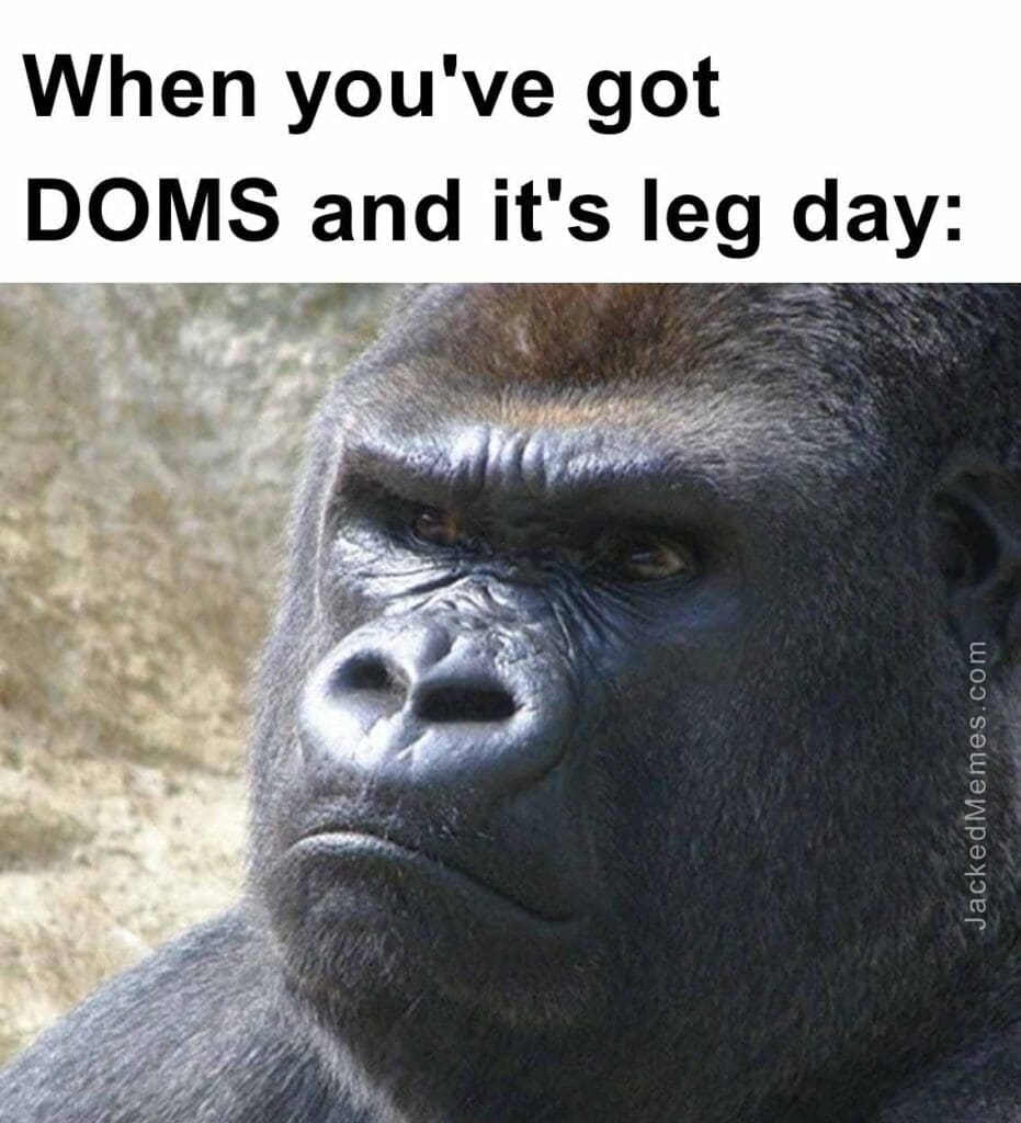 When you've got doms and it's leg day